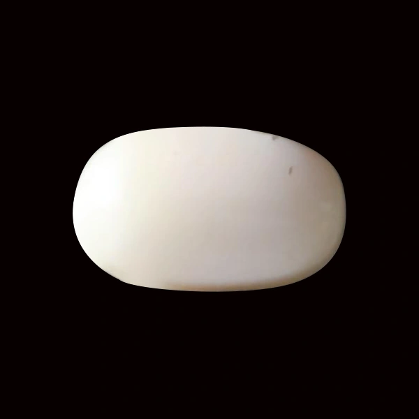 White Coral - 6.85 carats